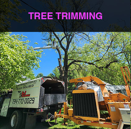 1-treetrimming