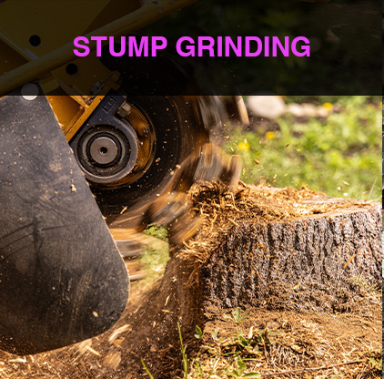 4-stumpgrinding