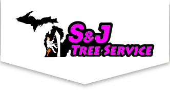 sjlogo2